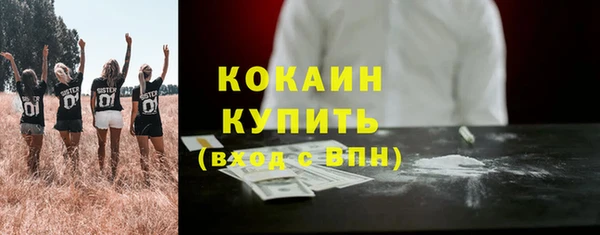 индика Козловка