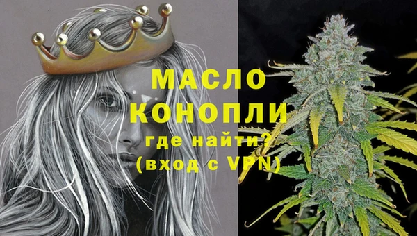 индика Козловка